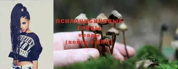 мяу мяу мука Новокубанск