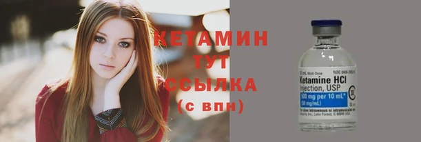 первитин Новодвинск
