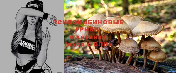 мяу мяу мука Новокубанск