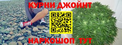шишки Гатчина