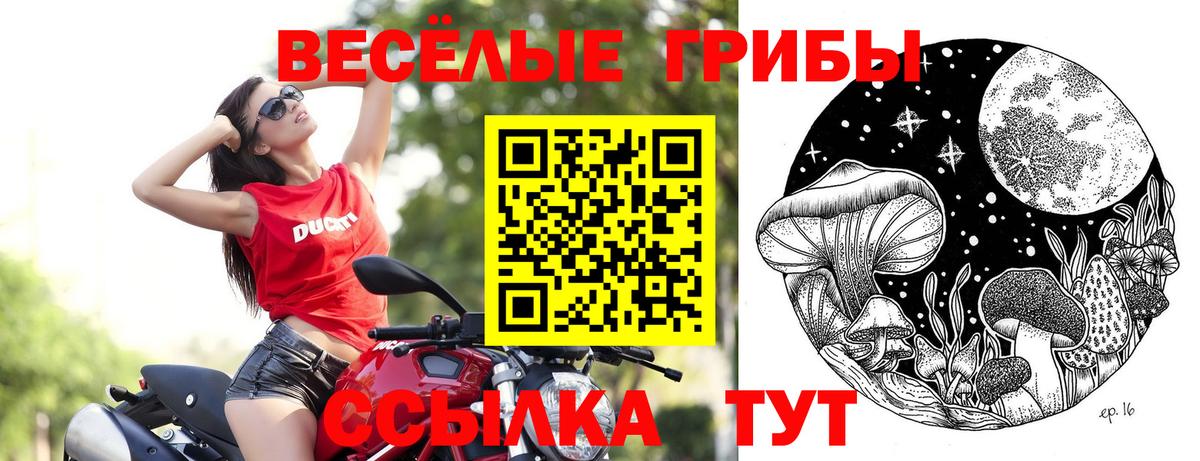 Псилоцибиновые грибы мухоморы Владикавказ